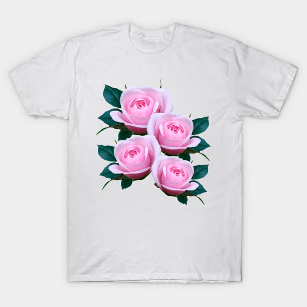 pink roses, rose, flower, blooms, garden T-Shirt by rh_naturestyles